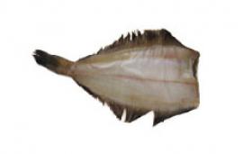 なめたカレイ一夜干 なめたカレイ一夜干