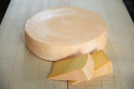 オーガニックチーズ　ホロシリ
