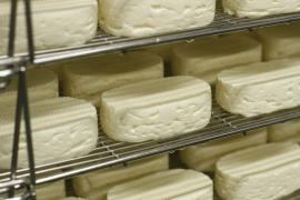 株式会社広内エゾリスの谷チーズ社