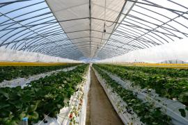 合同会社足寄ぬくもり農園 合同会社足寄ぬくもり農園